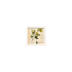 Quadro 20x20 - Folhas - 00007081113-FOL - Marcia Helena Decorações