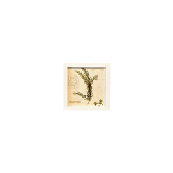 Quadro 20x20 - Folhas - 00007081113-FO - Marcia Helena Decorações
