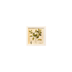 Quadro 20x20 - Folhas - 00007081113-FOLH - Marcia Helena Decorações