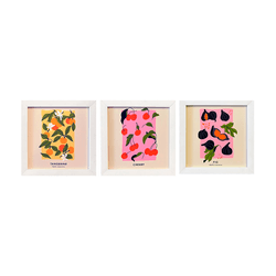 Trio de Quadros 20x20 - Fruits - 00007081113-FFR - Marcia Helena Decorações