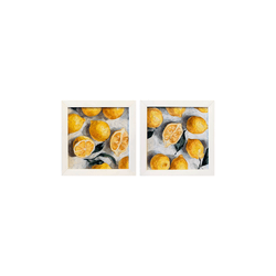 Dupla Quadro 20x20 Limão Siciliano - Moldura Branc... - Marcia Helena Decorações
