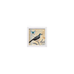 Quadro 20x20 Pássaro - Moldura Branca - 0000708111... - Marcia Helena Decorações