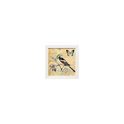 Quadro 20x20 - Pássaro - Moldura Branca - 00007081... - Marcia Helena Decorações
