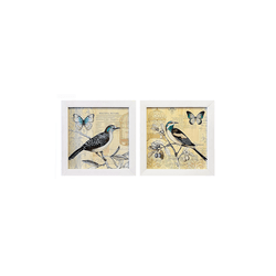 Dupla de Quadro 20x20 - Pássaro - Moldura Branca -... - Marcia Helena Decorações