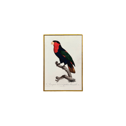 Quadro 45x30 Araras - Q4530-AR - Marcia Helena Decorações