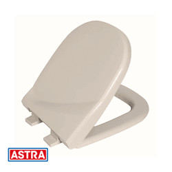 Assento Soft Close Sabatini / Paris TTP/SC Areia A... - Rede Construir Milmart