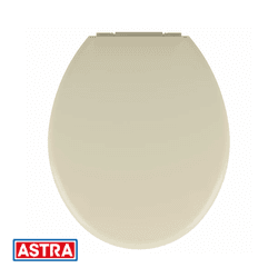 Assento Convencional Almofadado TPK/AS Palha BG8 -... - Rede Construir Milmart