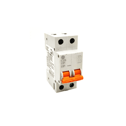 Disjuntor DIN Bipolar 2P C 25A - Rede Construir Milmart