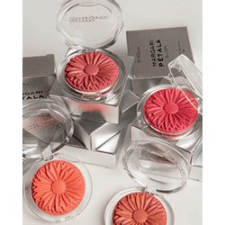 Blush Margari Pétala Maria Margarida Original - MISS FLÓRIDA MAQUIAGENS