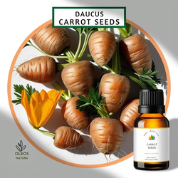 Óleo Essencial Sementes Cenoura - Carrot Seed - BM... - ÓLEOS NATURA