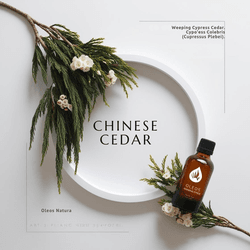 Óleo Essencial Cedro ChinÊs - Cedarwood Chinese - ... - ÓLEOS NATURA