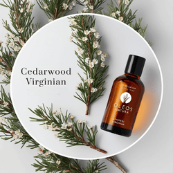 Óleo Essencial Cedro Da VirgÍnia - Cedarwood Virgi... - ÓLEOS NATURA