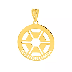 Pingente de Formatura Agronomia em Ouro 18k - OV/P... - Ouro Vale Joias