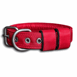 COLEIRA BABY LISA 3cm vermelha - 722 - PETSPACE