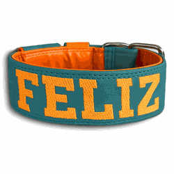 COLEIRA PERSONALIZADA 5cm tiffany/laranja com nome... - PETSPACE