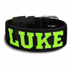 COLEIRA PERSONALIZADA 5cm preto com nome em verde ... - PETSPACE