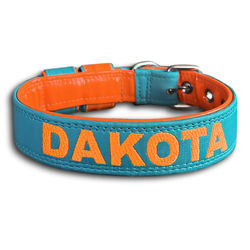 COLEIRA BABY PERSONALIZADA 3cm tiffany/laranja com... - PETSPACE