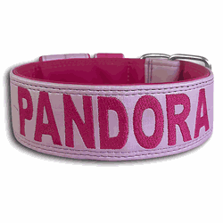 COLEIRA PERSONALIZADA 5cm lilás/pink com nome em p... - PETSPACE