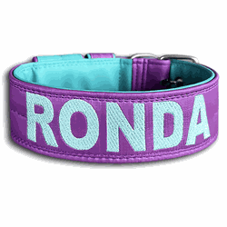 COLEIRA PERSONALIZADA 5cm roxa/azul tiffany com no... - PETSPACE