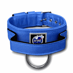 COLEIRA TÁTICA 5cm COM ALÇA azul bic - 1307 - PETSPACE