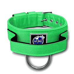 COLEIRA TÁTICA 5cm COM ALÇA verde fluorescente - ... - PETSPACE