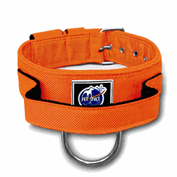 COLEIRA TÁTICA 5cm COM ALÇA laranja - 1311 - PETSPACE