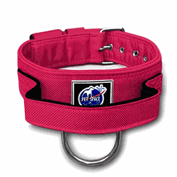 COLEIRA TÁTICA 5cm COM ALÇA rosa - 1309 - PETSPACE