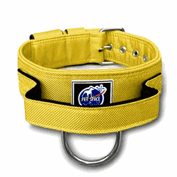 COLEIRA TÁTICA 5cm COM ALÇA amarelo - 1308 - PETSPACE