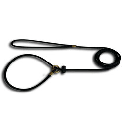 GUIA UNIFICADA CORDA 6mm COM REGULADOR 185CM - 005 - PETSPACE