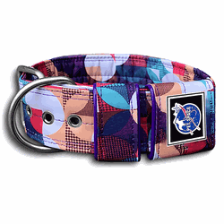 COLEIRA ESTAMPADA 5cm círculos roxo - 918 - PETSPACE