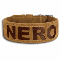 COLEIRA PERSONALIZADA 5cm camurça papelão com nome... - PETSPACE
