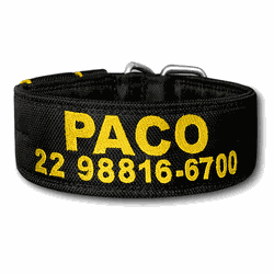 COLEIRA PERSONALIZADA 5cm preta com nome amarelo p... - PETSPACE