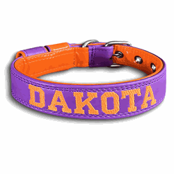 COLEIRA BABY PERSONALIZADA 3cm roxa/laranja com no... - PETSPACE