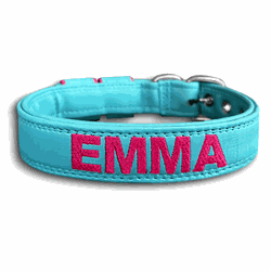COLEIRA BABY PERSONALIZADA 3cm tiffany com nome em... - PETSPACE