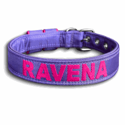 COLEIRA BABY PERSONALIZADA 3cm lilás com nome em p... - PETSPACE