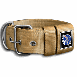 COLEIRA USO DIÁRIO 5cm dourada - 1359 - PETSPACE