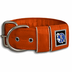 COLEIRA LISA 5cm laranja - 1213 - PETSPACE