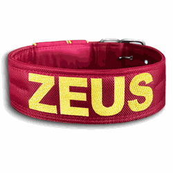 COLEIRA PERSONALIZADA 5cm vermelha com nome em ama... - PETSPACE