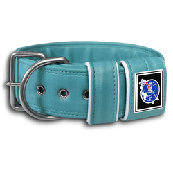 COLEIRA LISA 5cm azul tiffany - 1127 - PETSPACE