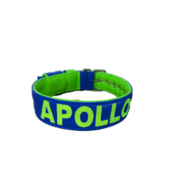 COLEIRA PERSONALIZADA 5cm azul/verde fluorescente ... - PETSPACE