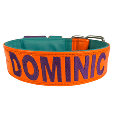 COLEIRA PERSONALIZADA 5cm laranja/tiffany com nome... - PETSPACE