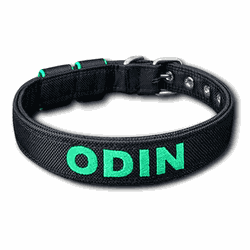 COLEIRA BABY PERSONALIZADA 3cm preta com nome em v... - PETSPACE