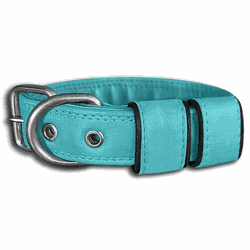 COLEIRA BABY LISA 3cm azul tiffany - 704 - PETSPACE