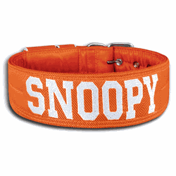 COLEIRA PERSONALIZADA 5cm laranja com nome em bran... - PETSPACE