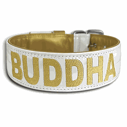 COLEIRA PERSONALIZADA 5cm branca/dourada com nome ... - PETSPACE