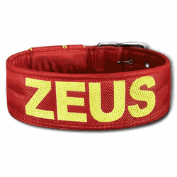 COLEIRA PERSONALIZADA 5cm vermelha com nome em ama... - PETSPACE