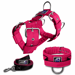KIT PEITORAL UNIVERSAL, COLEIRA TÁTICA E GUIA DE P... - PETSPACE