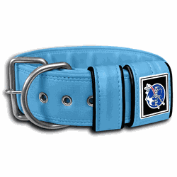 COLEIRA LISA 5cm azul bebê - 1116 - PETSPACE