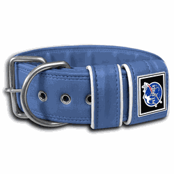 COLEIRA LISA 5cm azul - 1113 - PETSPACE