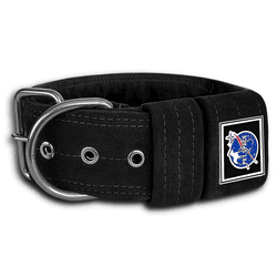 COLEIRA LISA 5cm camurça preta - 1131 - PETSPACE